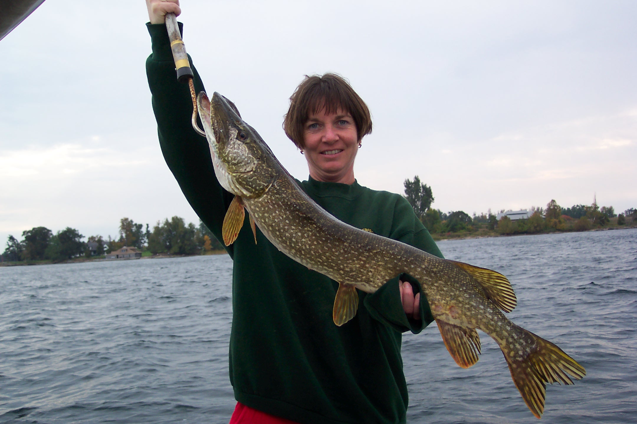 8 lb pike
