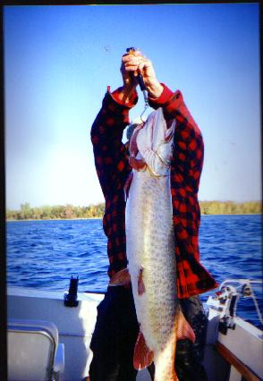 46 inch   35 lb   Muskie