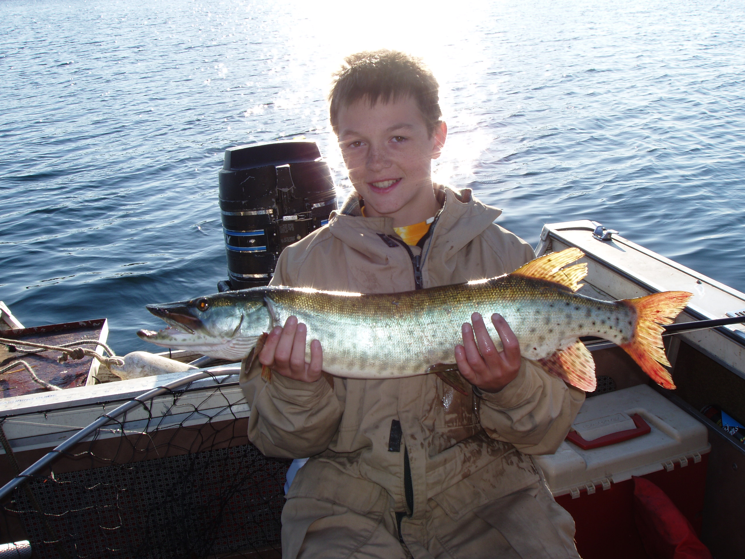 small muskie