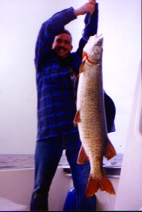 46 1/2 inch   38 lb  Muskie