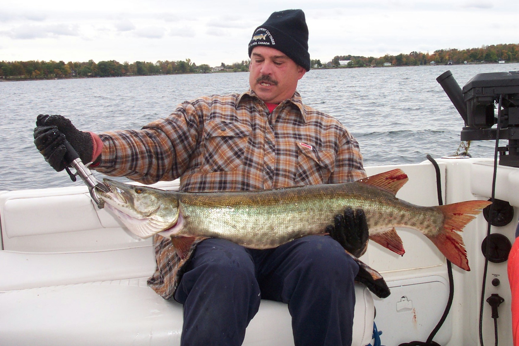 muskie