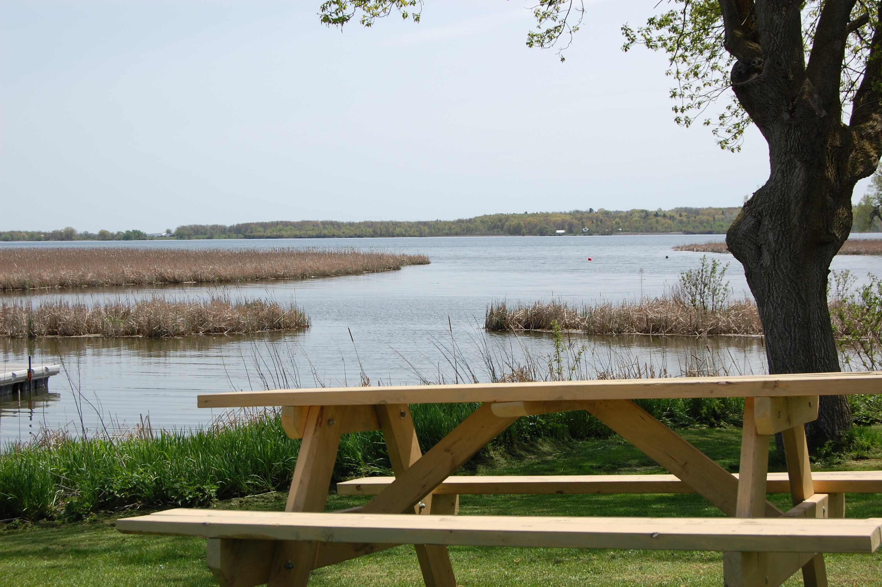 cottage view